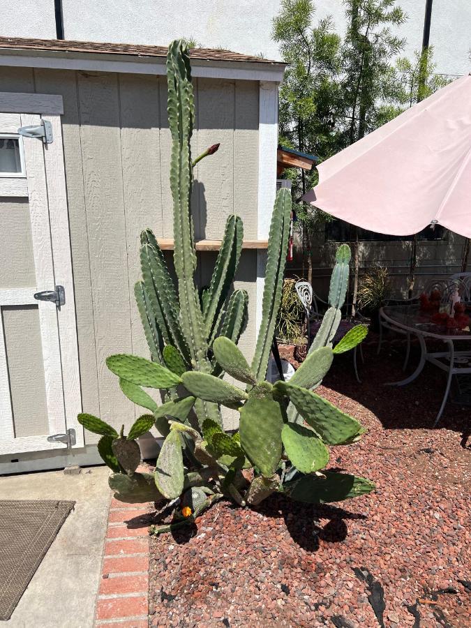 Private Los Angeles Room - Free Wifi, Ac, Tv, Private Fridge, Kitchen, Near Usc - Exposition Park - Usc Memorial Coliseum - Banc Of California Bmo Stadium - Downtown Los Angeles Dtla - University Of Southern California Usc!!! Exteriér fotografie